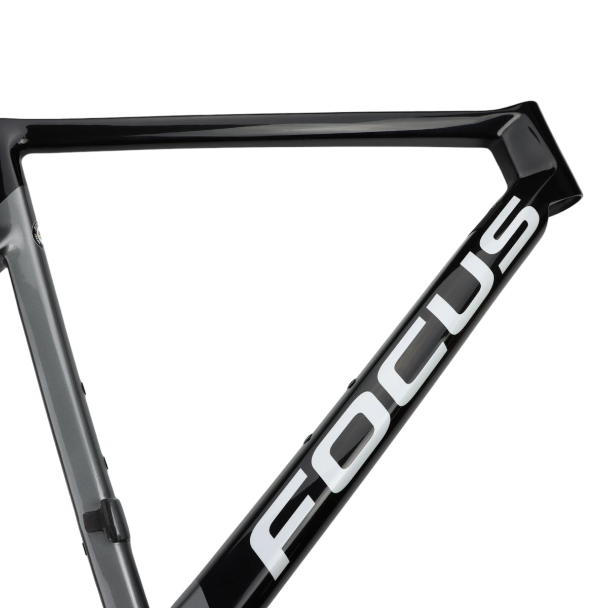 Focus Izalco Max 9.8 Disc Rahmen Rennrad Carbon schwarz (54 cm/M) - RAAAD.de
