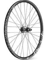 DT Swiss FR 1950 Classic Hinterrad 29" | 30 mm Felgenbreite | 12x150 mm Boost | 6 - Loch Disc | Shimano HG und SRAM XD - RAAAD.de