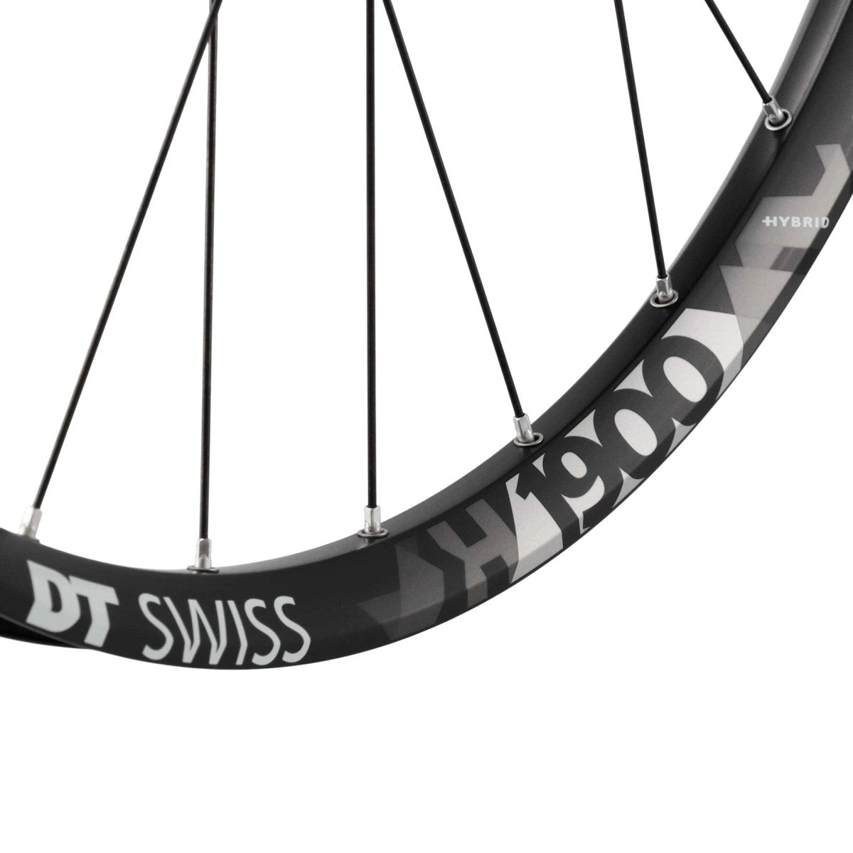 DT Swiss H 1900 SPLINE Vorderrad 29" | 30 mm Innenbreite | 15x110 mm Boost | 6 - Loch IS - RAAAD.de