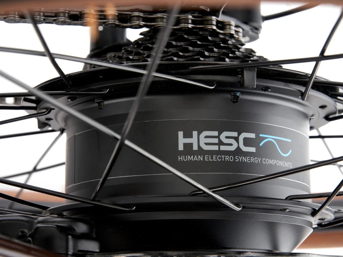 Kona Dew HD E - Bike | 650B | 418Wh | M–XL | Urban - RAAAD.de