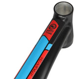 Kona Stinky Rahmen 26" | MTB Downhill / Gravity | Alu | Schwarz | Größe L - RAAAD.de