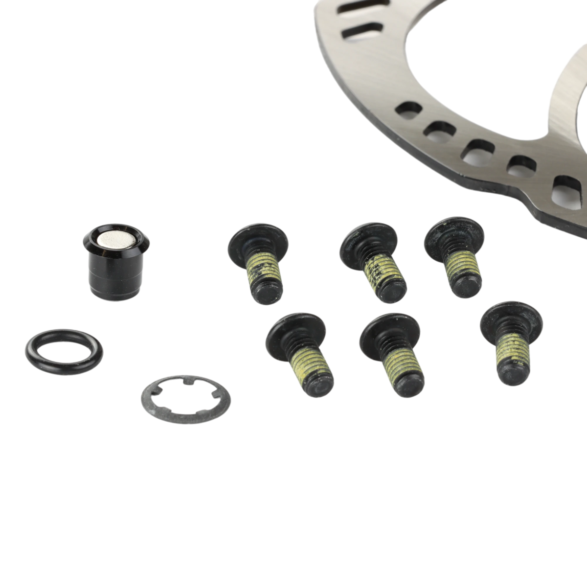 Magura Bremsscheibe Storm HC 180 mm mit Sensormagnet (6 - Loch) - RAAAD.de