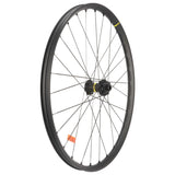 Mavic E - Deemax S 30 Vorderrad 29" | Boost 15x110 mm | 6 - Loch | E - MTB | Tubeless Ready | schwarz ohne Decals - RAAAD.de