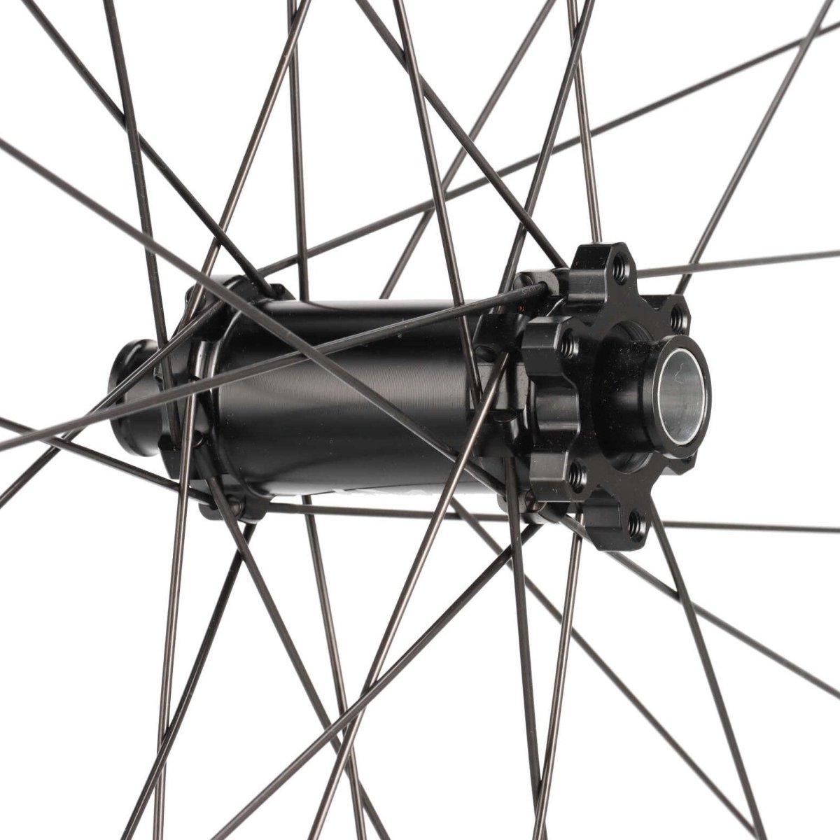 Newmen Evolution SL E.G.30 Vorderrad 29" 15x110 mm Boost 6 - Loch - RAAAD.de