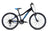 Fuji Dynamite 24 Comp Kinderfahrrad 2022 - RAAAD.de