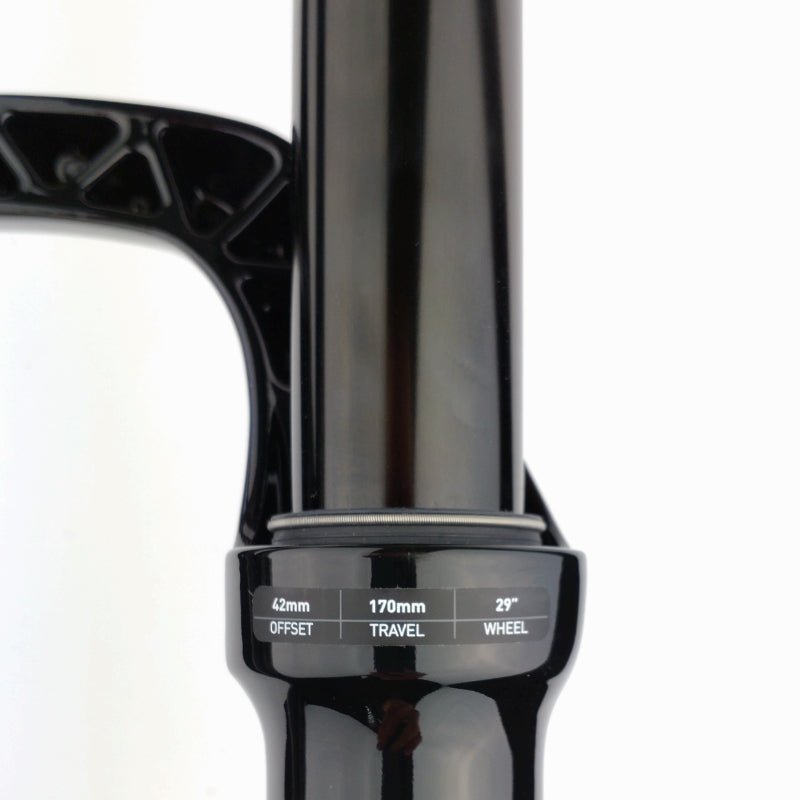 RockShox Lyrik Ultimate RCT3 170 mm 29" Federgabel - RAAAD.de